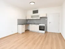 Prodej bytu 1+1, Brno, Došlíkova, 52 m2
