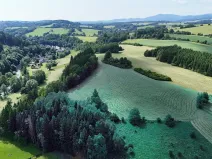 Prodej louky, Rudník, 16572 m2