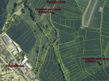 Prodej pole, Radějovice, 15800 m2