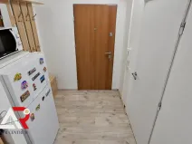 Pronájem bytu 1+kk, Brno, Halasovo náměstí, 24 m2