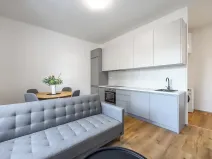 Prodej bytu 2+kk, Slaný, Navrátilova, 40 m2