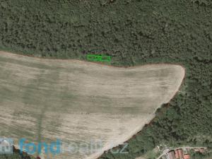 Prodej zemědělské půdy, Leština, 6846 m2
