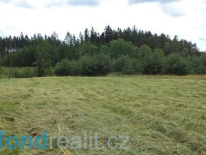 Prodej zemědělské půdy, Chotěmice, 3040 m2