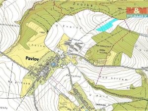 Prodej pole, Pavlov, 11645 m2