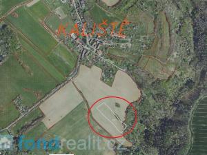 Prodej zemědělské půdy, Kaliště, 9415 m2