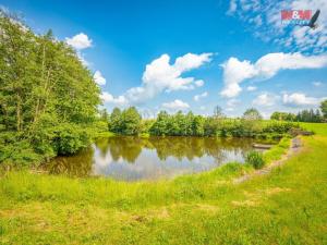 Prodej rybníku, Mezno - Mitrovice, 8010 m2