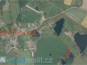 Prodej pozemku, Borovná, 1225 m2