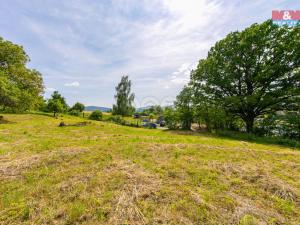 Prodej pozemku pro bydlení, Bělá nad Radbuzou - Čečín, 1325 m2