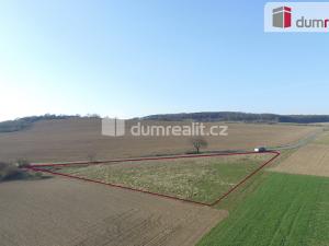Prodej trvalého travního porostu, Sýkořice, 3943 m2