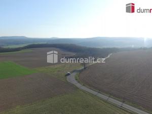 Prodej trvalého travního porostu, Sýkořice, 3943 m2