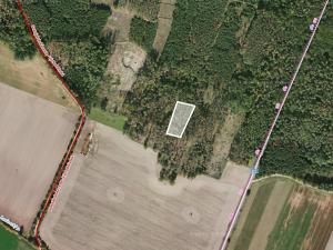 Prodej lesa, Svatý Mikuláš, 2705 m2