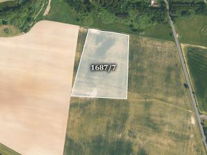 Prodej trvalého travního porostu, Trstěnice, 22965 m2