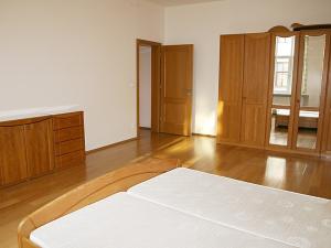 Pronájem bytu 3+1, Brno, náměstí Svobody, 106 m2