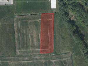 Prodej zemědělské půdy, Lázně Bělohrad, 7166 m2