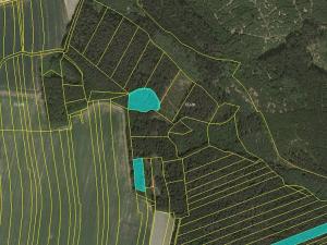 Prodej lesa, Chrbonín, 7845 m2