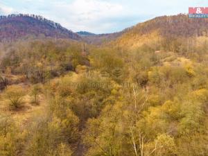 Prodej pozemku, Ústí nad Labem - Mojžíř, 8537 m2