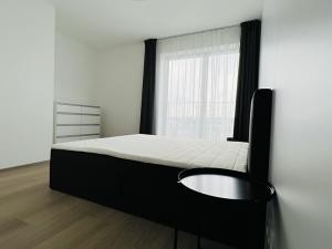 Pronájem bytu 1+kk, Brno, Nové sady, 64 m2