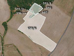 Prodej trvalého travního porostu, Velké Žernoseky, 41967 m2