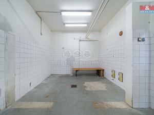Prodej výrobních prostor, Bedihošť, B. Němcové, 207 m2