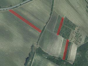 Prodej zemědělské půdy, Horní Věstonice, 11161 m2
