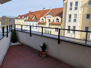 Pronájem bytu 3+kk, Plzeň, Klicperova, 93 m2