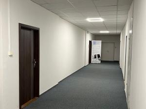 Pronájem kanceláře, Olomouc, Hálkova, 106 m2