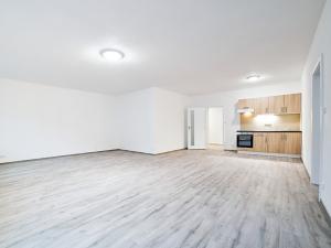 Pronájem bytu 1+kk, Plzeň, Železniční, 43 m2