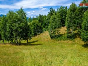 Prodej trvalého travního porostu, Dlouhý Most, 7756 m2