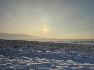 Prodej pozemku pro bydlení, Rožďalovice, 959 m2