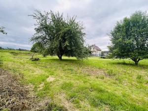 Prodej pozemku pro bydlení, Kynšperk nad Ohří, 1002 m2