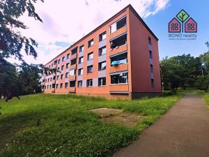 Prodej bytu 1+kk, Litoměřice, Alšova, 22 m2