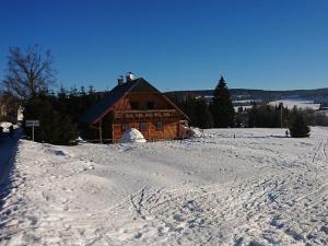 Prodej pozemku, Borová Lada, 7953 m2