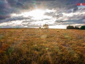 Prodej zemědělské usedlosti, Planá - Otín, 500 m2