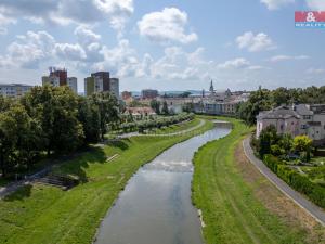 Prodej bytu 3+1, Opava - Předměstí, Na Nivě, 91 m2