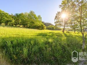 Prodej trvalého travního porostu, Proseč pod Ještědem, 3254 m2