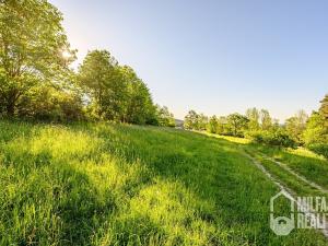 Prodej trvalého travního porostu, Proseč pod Ještědem, 3254 m2