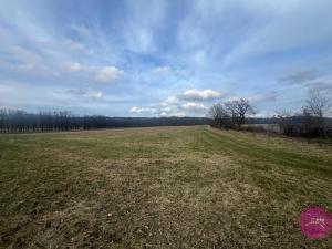 Prodej zemědělské půdy, Bělkovice-Lašťany, 13030 m2