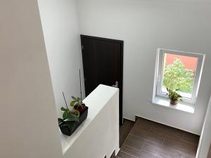 Prodej bytu 2+1, Karlovy Vary, U Trati, 61 m2