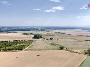 Prodej zemědělské půdy, Velké Albrechtice, 4085 m2