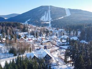 Prodej bytu 3+kk, Harrachov, 72 m2