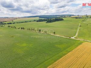 Prodej zemědělské půdy, Horní Bělá, 5000 m2