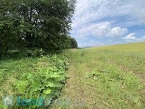 Prodej pozemku, Prusinovice, 2535 m2