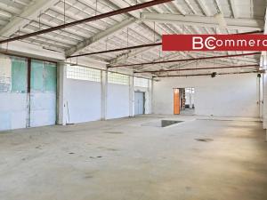 Prodej výrobních prostor, Klobouky u Brna, Nádražní, 1050 m2