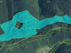 Prodej podílu lesa, Vsetín, 80854 m2