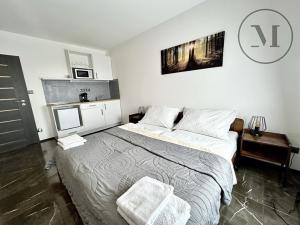 Pronájem bytu 1+kk, Jistebnice, Sedlecká, 35 m2