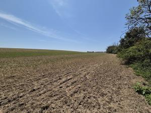 Prodej zemědělské půdy, Brandýs nad Labem-Stará Boleslav, 11346 m2