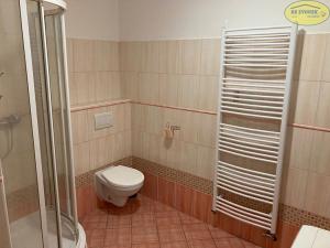 Pronájem bytu 1+kk, Šternberk, Čechova, 30 m2