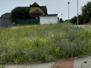 Prodej pozemku, Ivančice, Boží Hora, 552 m2