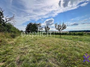 Prodej zemědělské půdy, Strážnice, 1446 m2