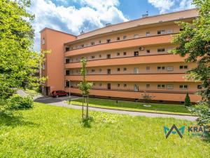 Prodej bytu 1+1, Ústí nad Labem - Klíše, Mezidomí, 54 m2